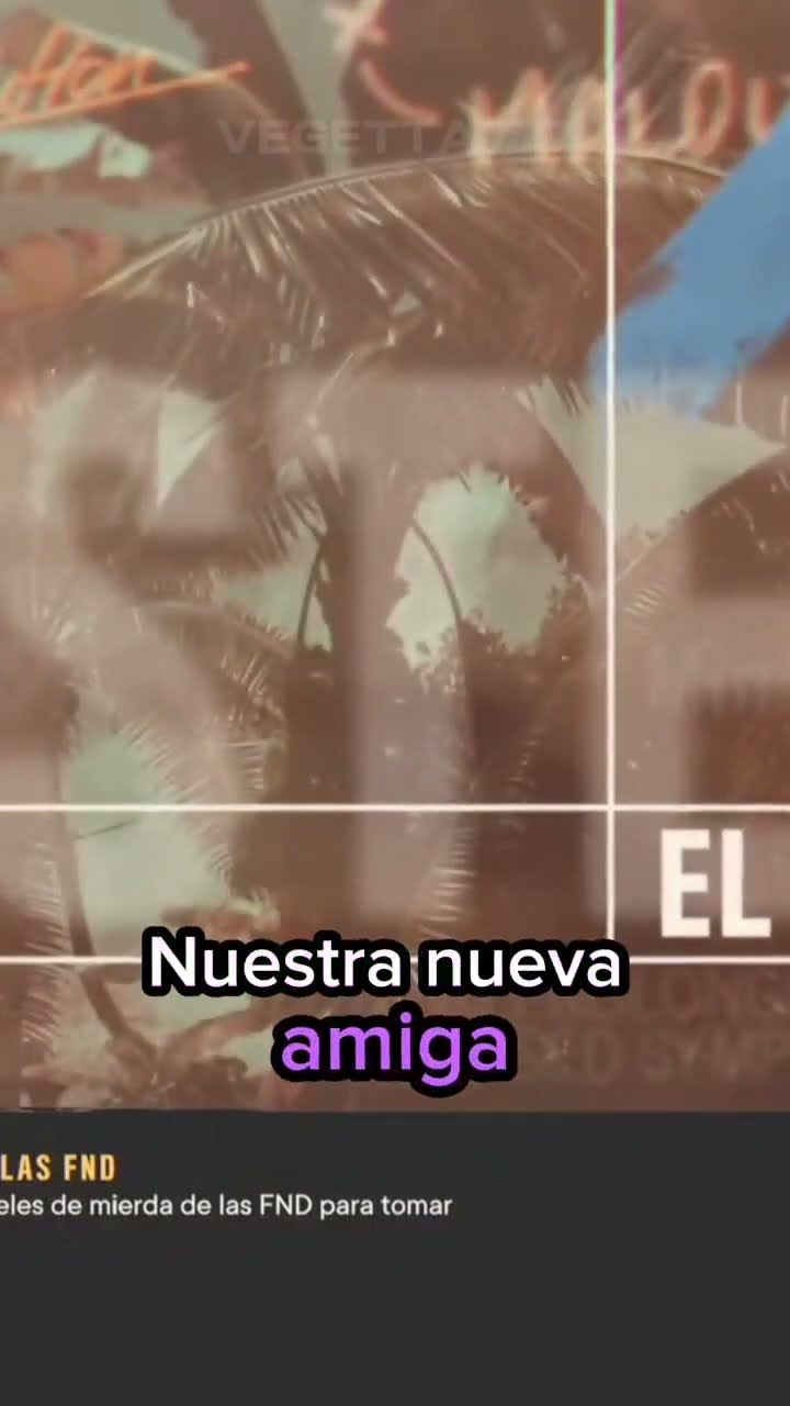 VEGETA y la MISIÓN de ROSA EL PAQUETE
