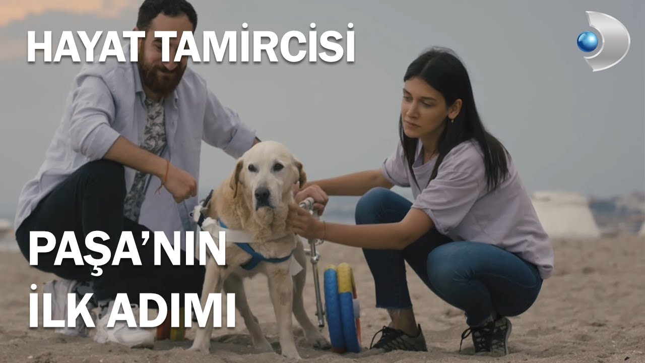 Paşa'nın İlk Adımları - Hayat Tamircisi 12.Bölüm