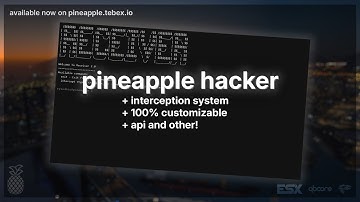 pn-hacker - FiveM most customizable Hacker / Terminal system ( + call/radio intercept system)