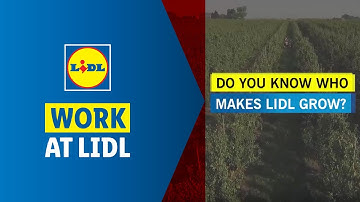 Lidl grows. Grow with us.