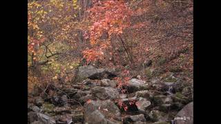 Richard Clayderman  Yesterday Once More