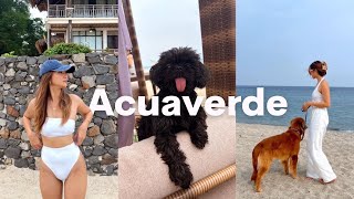 ACUAVERDE: pet friendly beach resort in Batangas! | Angel Dei