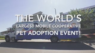 Major pet adoption event tours through Shreveport and Marshall