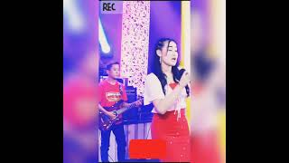 Download Lagu NEW PALAPA🎶▶ MP3