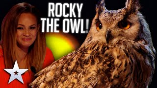 Bird act is ONE OF A KIND | Audition | BGT Series 8