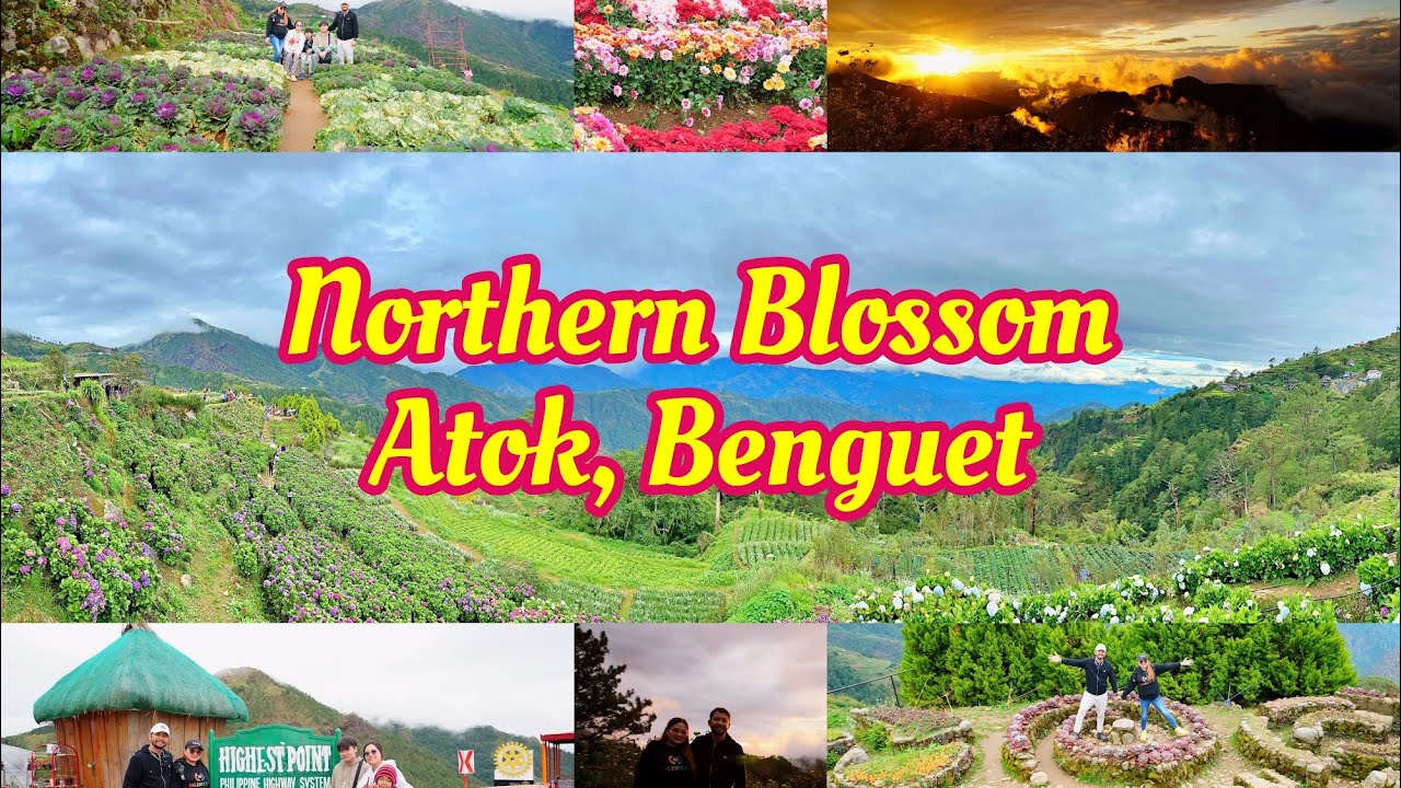 Northern Blossom Flower Farm: A Blooming Paradise in Atok, Benguet