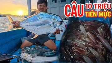 8 ngày Kiếm Tiền Ở Phú Quốc - Đi Câu Biển 1 Mình, Mực Dính Không Kịp Gỡ