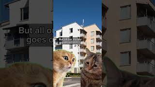 When life is expensive but you need home security, use spare phones. #homesecurity #securitycamera