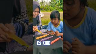 WHAT COLOR OF KIKO ICE DO YOU WANT?