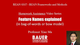 [BZAN6357 Framework] HW Assist - Feature names explained (in bow model) | Bauer@UH BZAN PythonBA