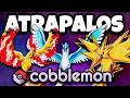 Cómo CAPTURAR a ARTICUNO, ZAPDOS y MOLTRES en COBBLEMON (Guía 2026)