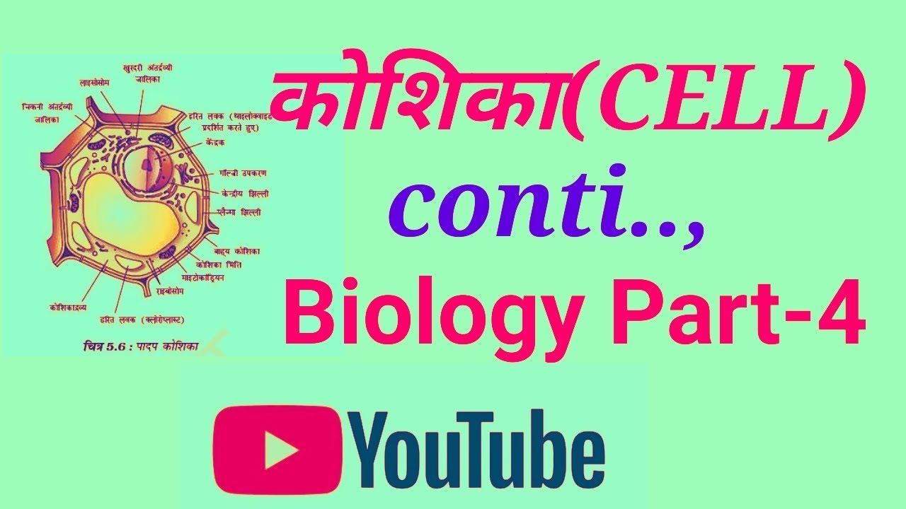 CELL(कोशिका) IN BIOLOGY for competitive exams - YouTube