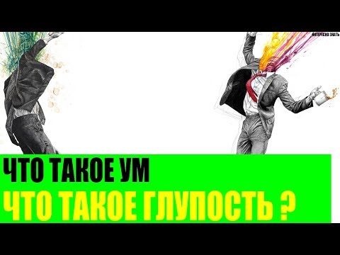 Что такое ум и что такое глупость?