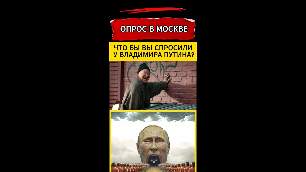 Цена страха: от СВО до яиц - YouTube