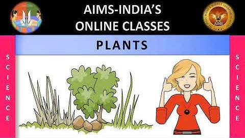 5TH | SCIENCE | PLANTS | PART 07 | JUNIOR SCIENCE OLYMPIAD | AIMS-INDIA