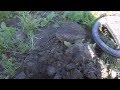 Забавный коп :)))