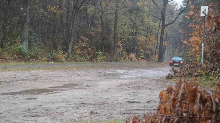 subaru WRX autumn fun