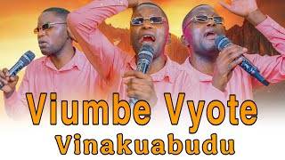 VIUMBE VYOTE VINAKUABUDU WLLY