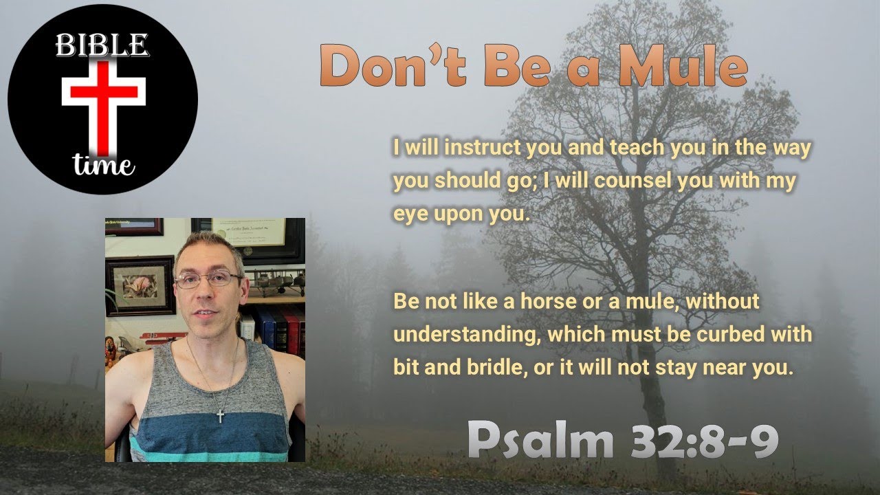 Bible Time Ep 32 Don t Be A Mule Psalm 32 8 9 YouTube bible-time-ep-32-don-t-be-a-mule-psalm-32-8-9-youtube