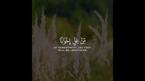 ان المتقين في جنات وعيون حالات واتس اب قرآن كريم هزاع البلوشي 🌿❤️