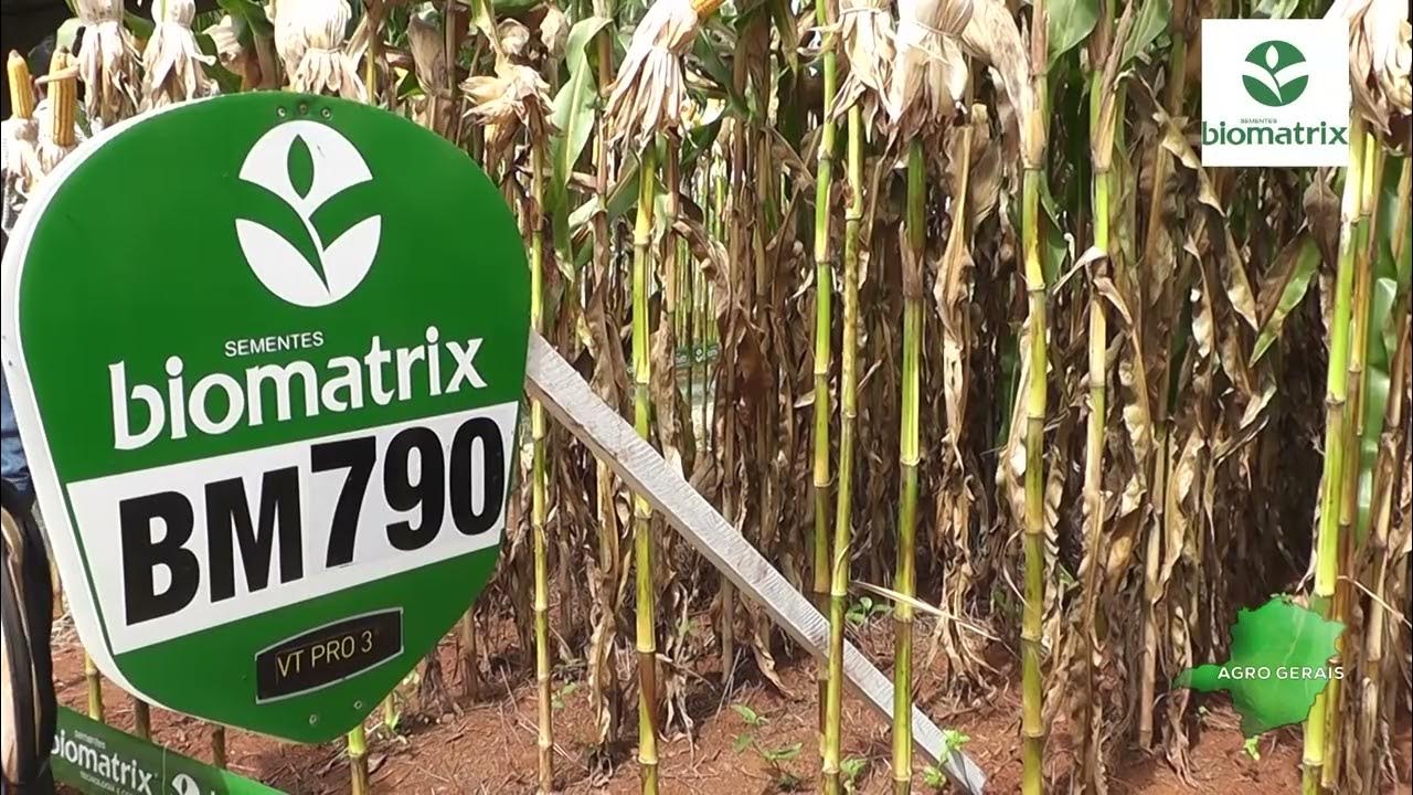 BIOMATRIX - YouTube