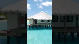 Dream Watervilla  ?️? maldives honeymoon  travel seaview
