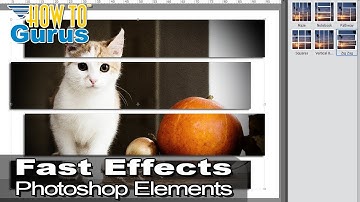 How You Can Use Fast Easy Photoshop Elements Effects - One Click Photo Effects Tutorial