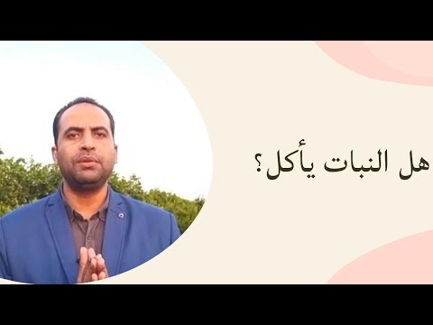 العناصر الغذائية الضرورية للنبات كيف تحصل علي إنتاج مثالي زتونة زراعية محمد هنداوي 