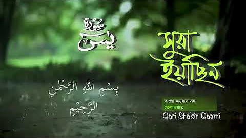 036) সূরা ইয়াসীন  Surah Ya-Sin হৃদয় ছোঁয়া سورة يس‎ অনুবাদ |qari Sakir Qasmi | voice of sahebnagor