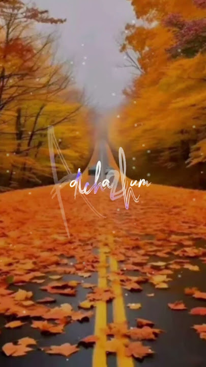 🎶 Theruvoram Paranthu Vantha Song Lyrical video 🎶