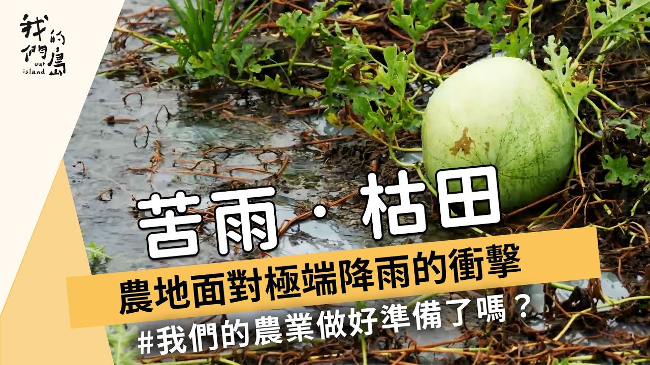 【氣候變遷】苦雨 枯田：農地面對極端降雨的衝擊 (我們的島 1161集 2022-06-20)