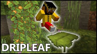 How Does DRIPLEAF Work In MINECRAFT