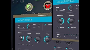 WOODPRESSOR AUv3 Compressor - Demo for the iPad