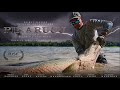 PIRARUCU | Fly Fishing for Giant Arapaima Deep in the Amazon Jungle