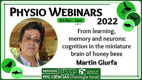 Physio Webinars - Martin Giurfa: "Cognition in the miniature brain of honey bees"