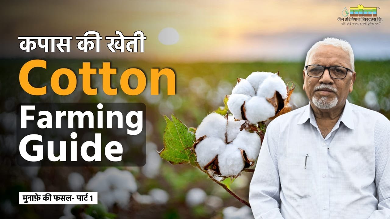 Cotton Farming: बीज से लेकर कटाई तक का सफर - Munafe Ki Fasal - Episode 1