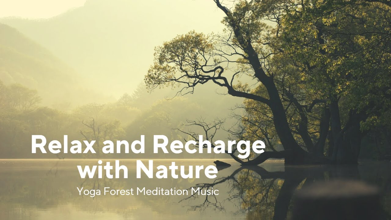 Yoga Meditation Music 2023, Relax and Recharge with Nature