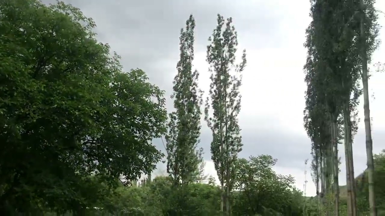 Аксы Ак-Суу/ Элдик таланттар🎙