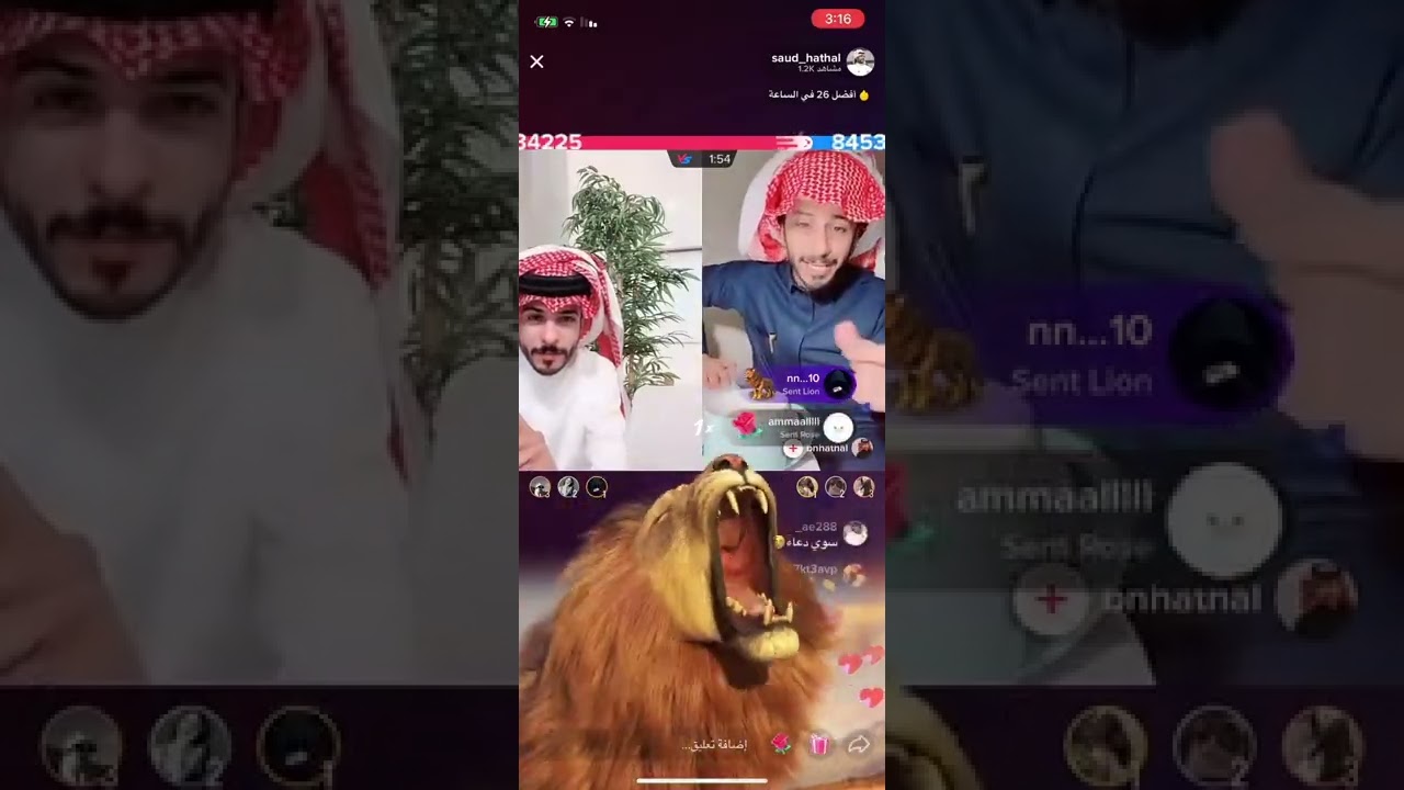 بث سعود و عمر هذال .