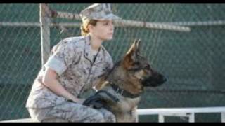 'Megan Leavey’ stars share stories of their own K9 companions