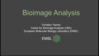 Methods in bioimage analysis