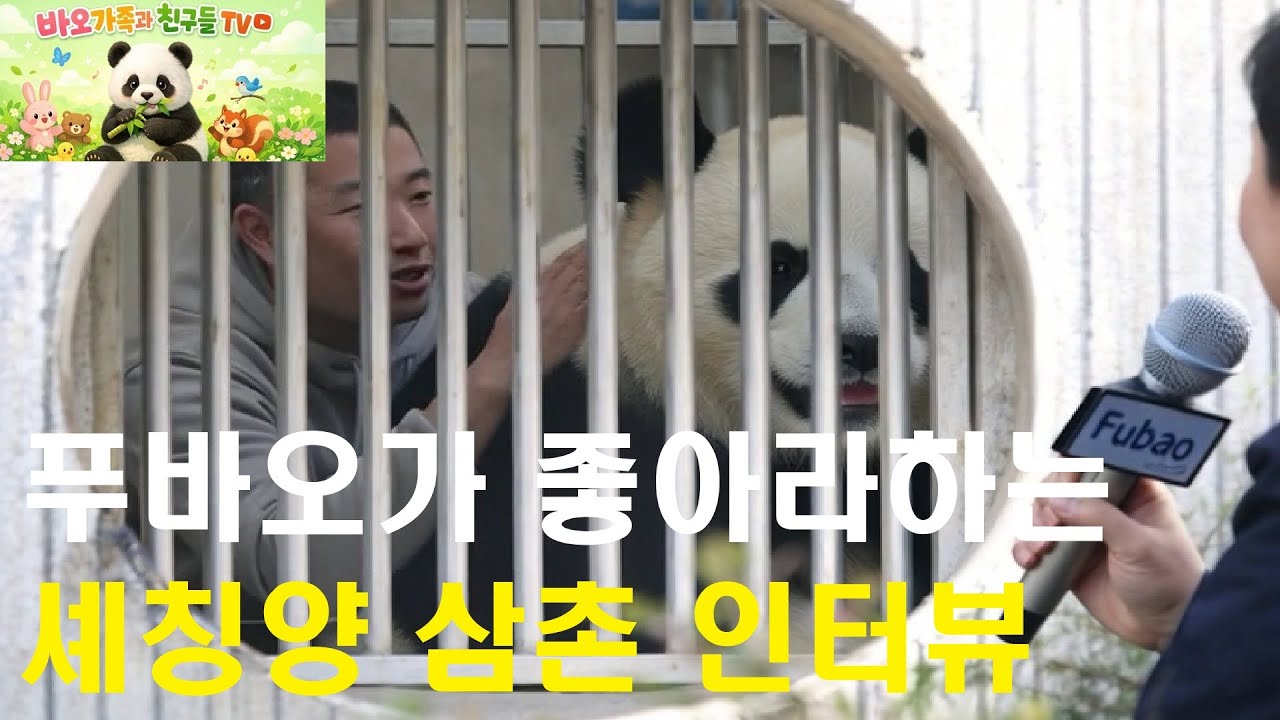 [풀영상] 쓰담쓰담 셰칭양 삼촌 인터뷰[2026년 1월 15일 영상기반]