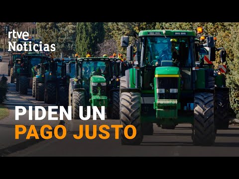 Los AGRICULTORES ESPAÑOLES se SUMAN a sus COLEGAS europeos y DEMANDAN otra POLÍTICA AGRARIA | RTVE