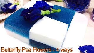 BUTTERFLY PEA FLOWER TEA - 4 WAYS ( blue tea, purple lemonade, blue rice, blue coconut pudding)