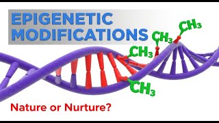 Epigenetics: Twin Study Settles Nature vs Nurture