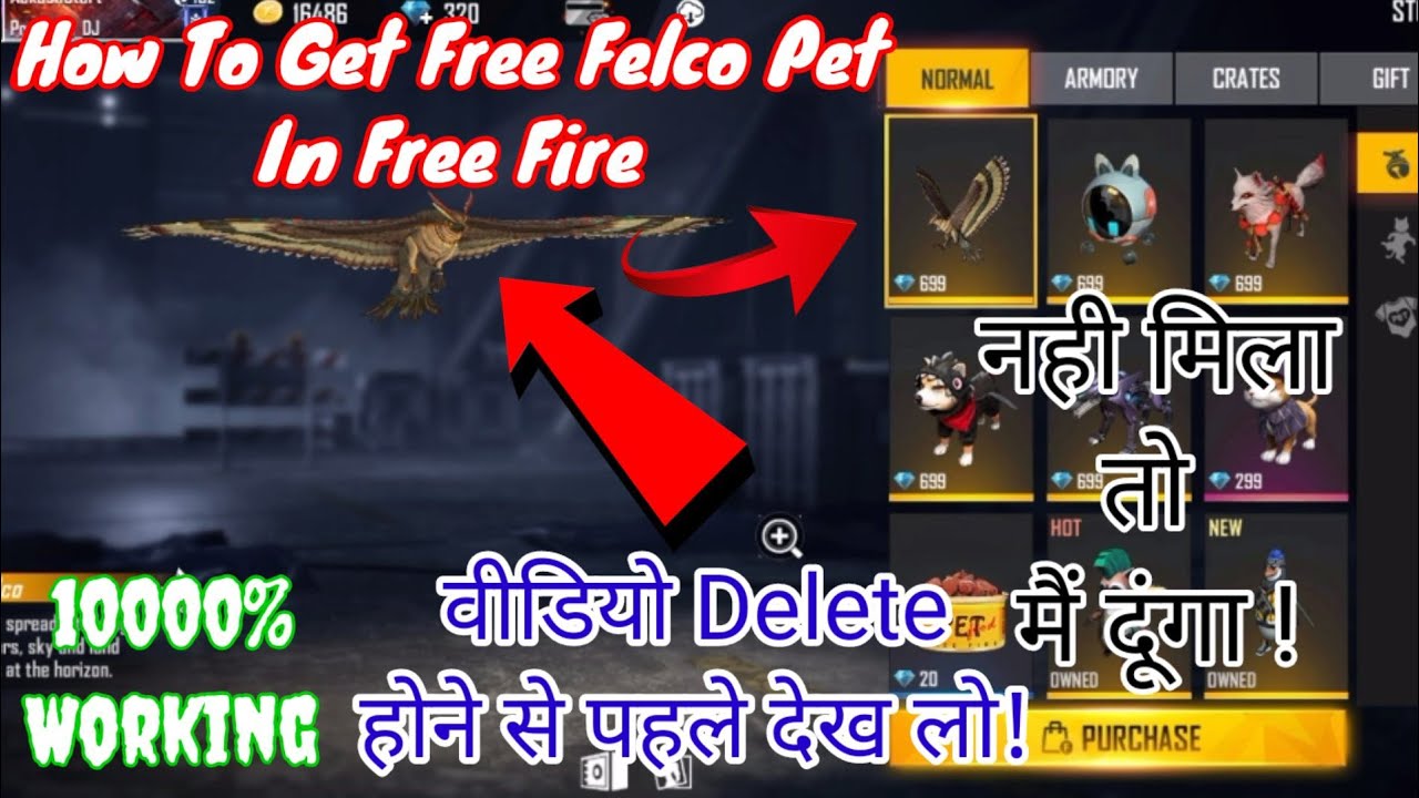 Free Fire Falcon Pet Kaise Milega How To Get Falcon in Free Fire How