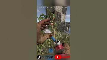 we countered a raid with bees... #rustmemes #rust #rustgaming #rustclips #rustraid #rustraids #puga