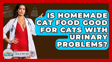Is Homemade Cat Food Good For Cats With Urinary Problems? - Ask A Pet Vet