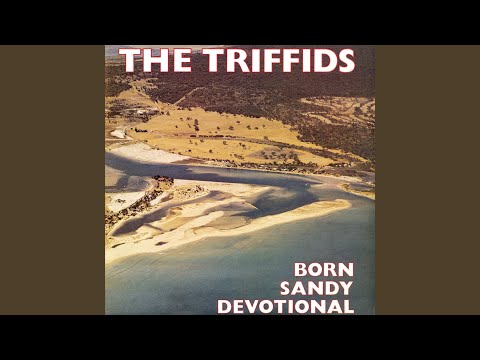 Tender Is the Night (The Long Fidelity)