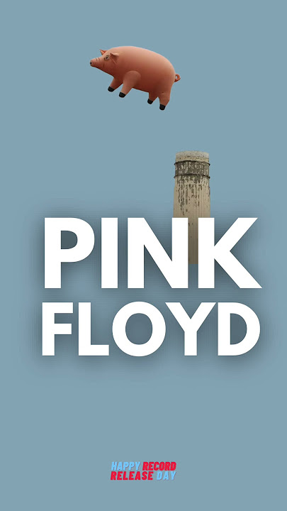 Pink Floyd - Animals | Happy Release Day